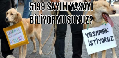 5199 Sayılı Yasa