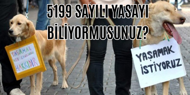 5199 Sayılı Yasa