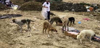 Gölpazarı Çocuklarından Ünye’ye Selam