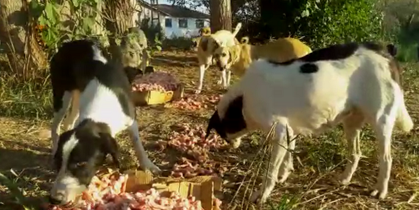 Gölpazarı’nda Olağan Emek Dolu Bir Gün