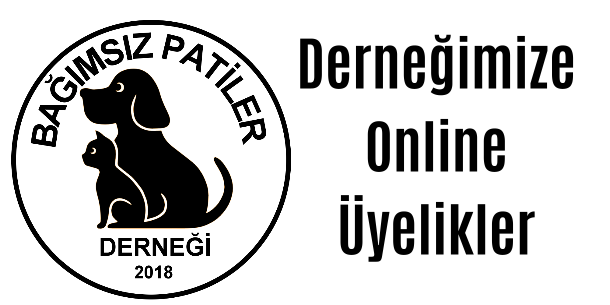 Üyelik Hakkında Bilgilendirme