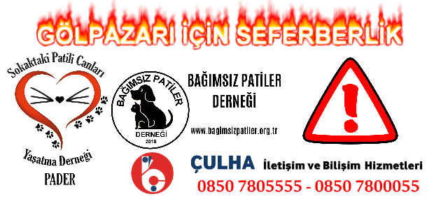 Gölpazarı Seferberlik Çağrısıdır